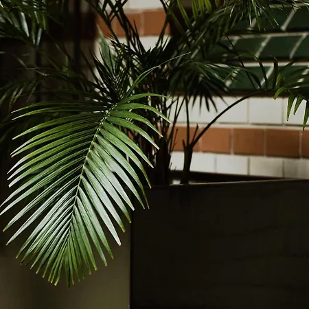 Monopol ורוצלב